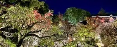 équipe cycliste sakuraの活動紹介