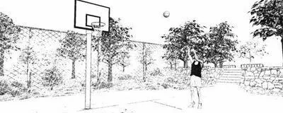 コッコ会の活動紹介