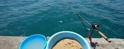 福岡ダゴチン倶楽部の活動紹介