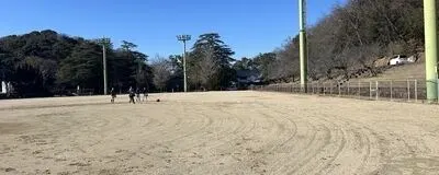 隼の活動紹介