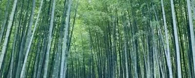 宇都宮　ソフトテニスの活動紹介