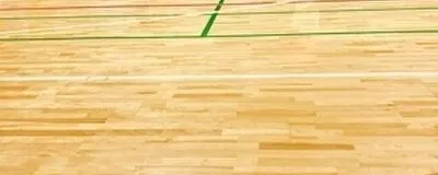 ミントンの活動紹介