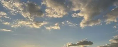 岡山散策の活動紹介