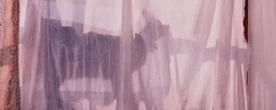 あのネガフィルムの活動紹介