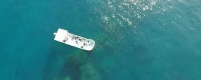 oceansの活動紹介