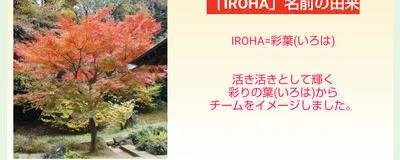 IROHAの活動紹介