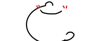 free champ fcの活動紹介