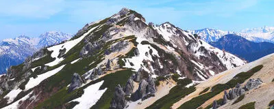 Luomuの活動紹介