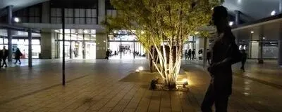 兵庫・大阪　本が好きな方ひっそりと関西圏で本の茶話会（≠読書会）の活動紹介