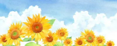 良い人間関係ってなんだと思いますか？の活動紹介