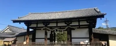 京都！奈良！寺社仏閣めぐりの活動紹介
