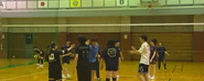 アレイリストの活動紹介