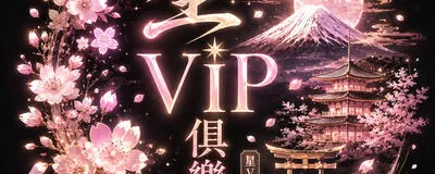 星VIPクラブ【東京●大阪】 高級出張の活動紹介