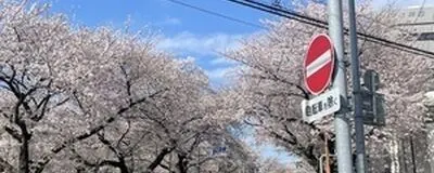 ランニングを楽しもうの活動紹介