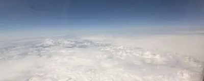しっぽの活動紹介