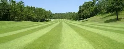 みんなの每日ゴルフの活動紹介
