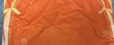 NIMOの活動紹介