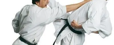 空手・琉球古武道の活動紹介